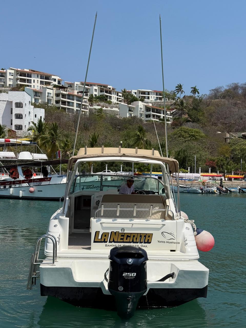 La Negrita - Sea Ray 33ft en Huatulco
