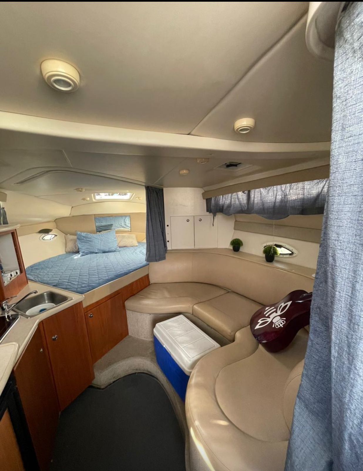 Bee Rich - Bayliner 33ft en Los Cabos