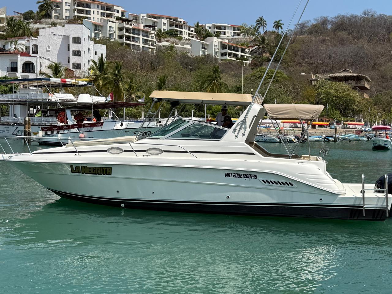 La Negrita - Sea Ray 33ft en Huatulco