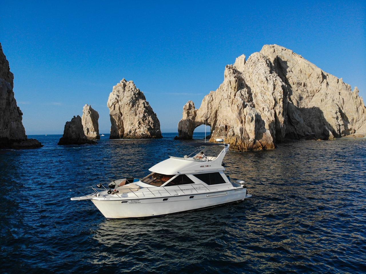 Seaquel V - Bayliner 42ft en Los Cabos