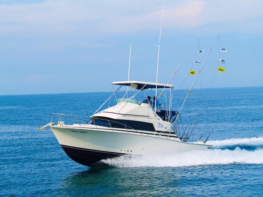 Game Fisher - Bertram 33ft en Puerto Vallarta