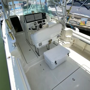 Hydra Sports - 33ft en Progreso