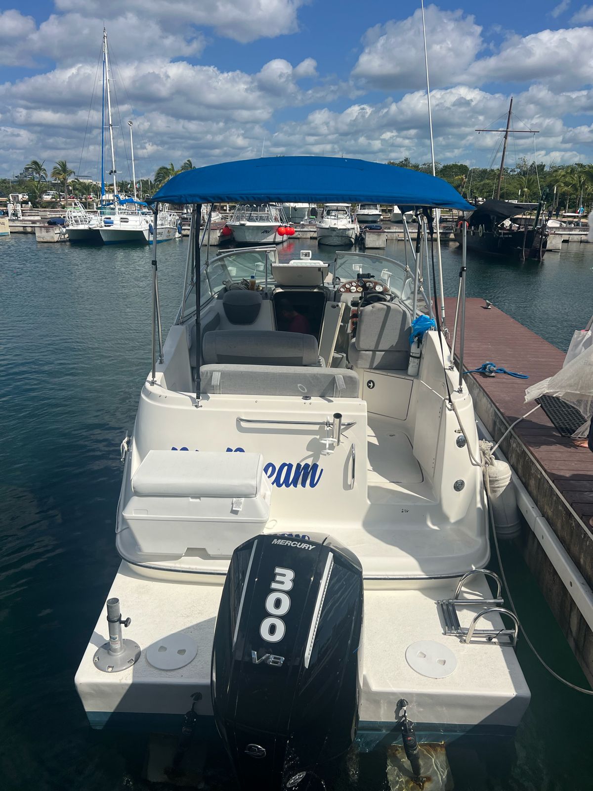 Living the Dream - Bayliner 26ft en Cozumel