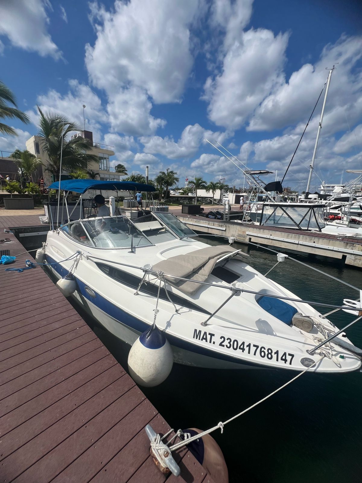Living the Dream - Bayliner 26ft en Cozumel