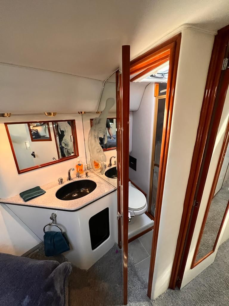 Olympus – Sea Ray 46ft en Puerto Vallarta