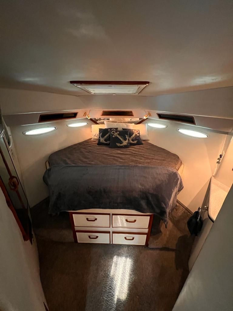 Olympus – Sea Ray 46ft en Puerto Vallarta