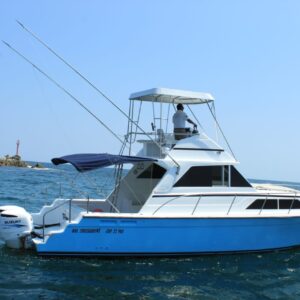 Tiffany - Wellcraft 38ft en Huatulco
