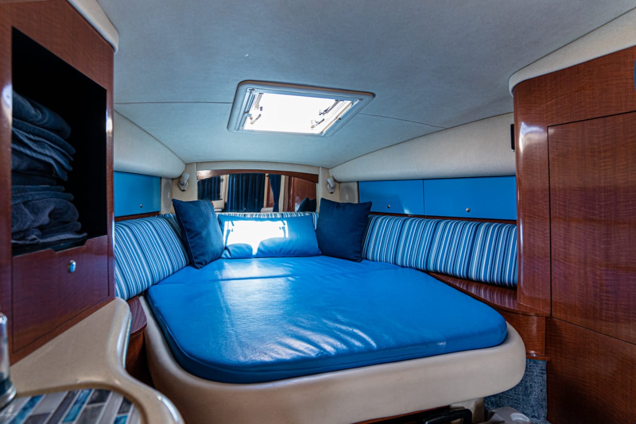 Bad Romance - Sea Ray 32ft en Los Cabos