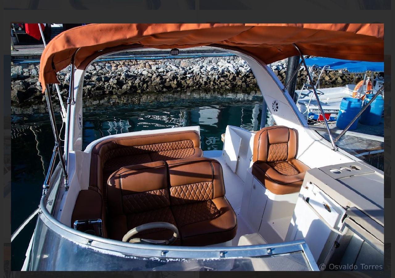 El Bary - Bayliner 33ft en Los Cabos