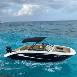 Xuxu - Sea Ray 27ft en Cozumel
