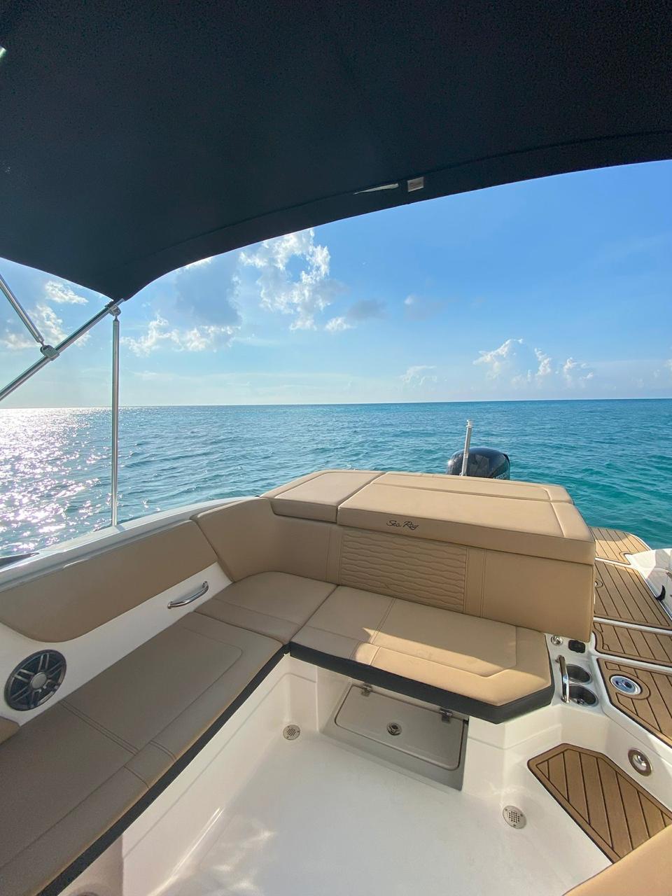 Island Girl - Sea Ray 24ft en Cozumel